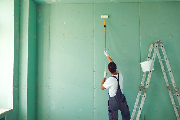 Trusted Haven, KS Mold Removal Experts