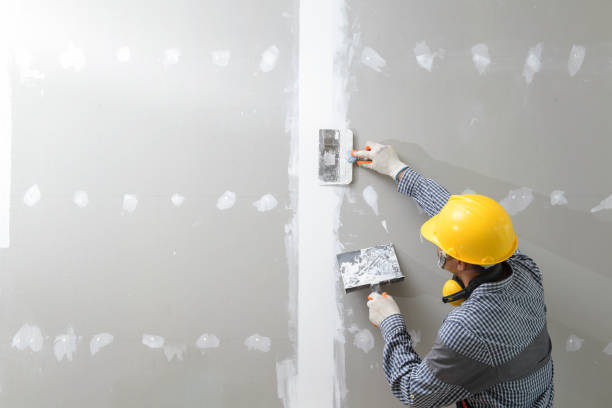 Best Environmental Consulting for Mold Prevention  in Haven, KS