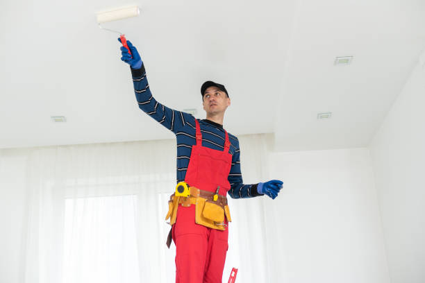 Best Water Damage & Mold Remediation  in Haven, KS