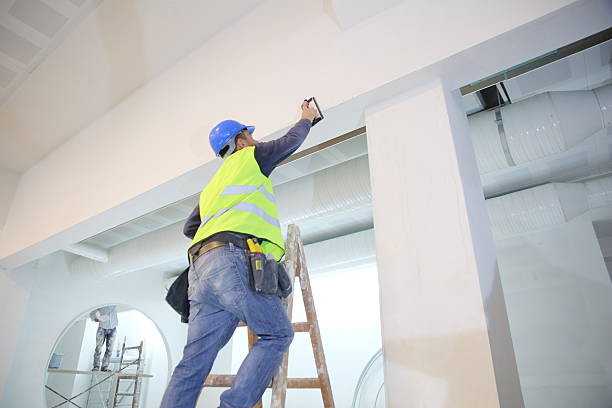 Best Mold Remediation for Healthcare Facilities  in Haven, KS